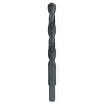 Bosch 2609255025 - BROCA HSS-R: 15X114X169MM: DIY