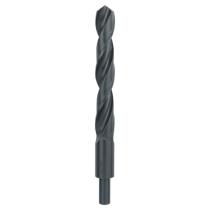 Bosch 2609255028 - BROCA HSS-R: 20X140X205MM: DIY