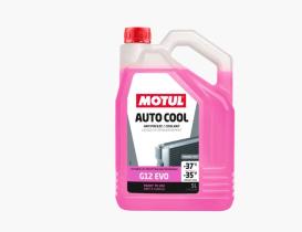 Motul 112648 - AUTO COOL G12 EVO -37°C 5L